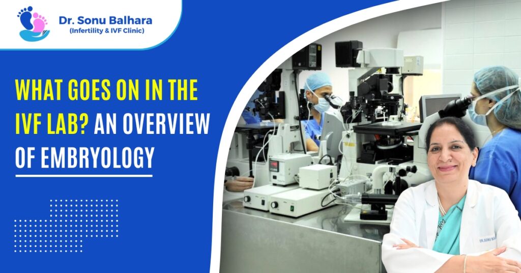 What goes on in the IVF lab An overview of embryology