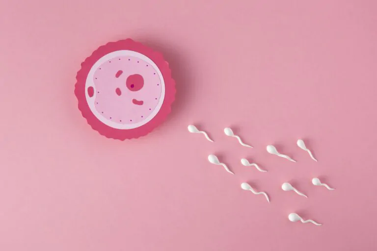 flat lay fertility concept with pink background scaled