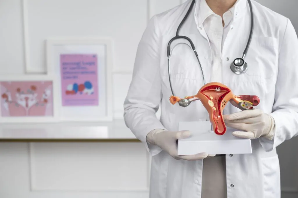 front view doctor holding anatomic model scaled