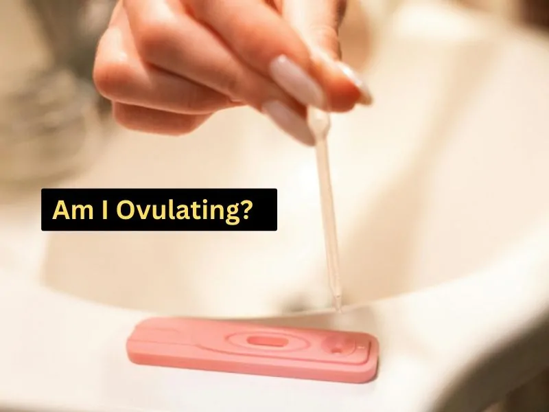 Add a heading